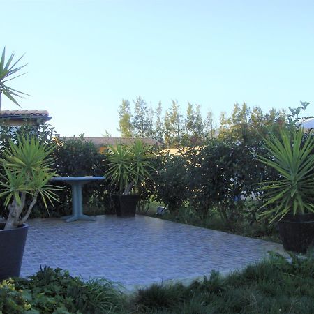 Cavone 2 Apartment Castellare-di-Casinca Exterior photo