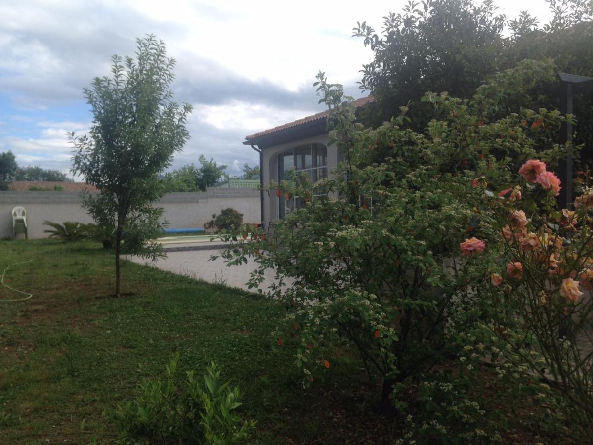 Cavone 2 Apartment Castellare-di-Casinca Exterior photo